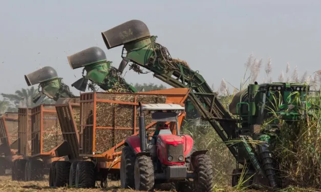 Pese a la crisis y los factores climáticos, Santa Cruz es la región que más aporta a la economía de Bolivia