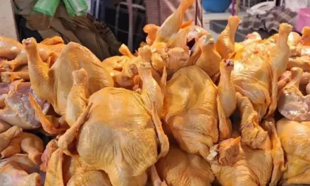 Escasez de diésel eleva precio del pollo nacional