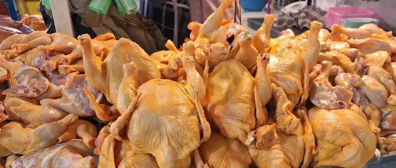 Escasez de diésel eleva precio del pollo nacional