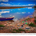 El lago Titicaca pierde vida, peces y habitantes por el avance de la contaminación