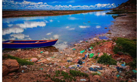 El lago Titicaca pierde vida, peces y habitantes por el avance de la contaminación