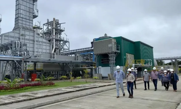 Reportan que planta de urea lleva parada casi una semana y pérdidas ascienden a $us 800 mil diarios