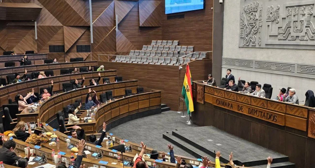 La era del MAS se apaga en el Legislativo con el PGE y la renovación del TSE en duda