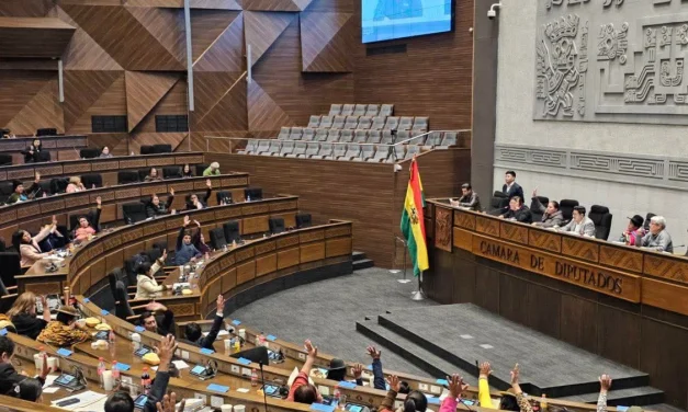 La era del MAS se apaga en el Legislativo con el PGE y la renovación del TSE en duda