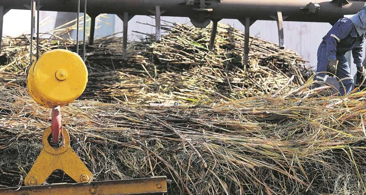 «El sector productivo está con un freno de mano»: alertan que su esfuerzo e inversión se está quedando en el campo por falta de diésel