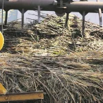 «El sector productivo está con un freno de mano»: alertan que su esfuerzo e inversión se está quedando en el campo por falta de diésel