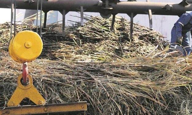 «El sector productivo está con un freno de mano»: alertan que su esfuerzo e inversión se está quedando en el campo por falta de diésel