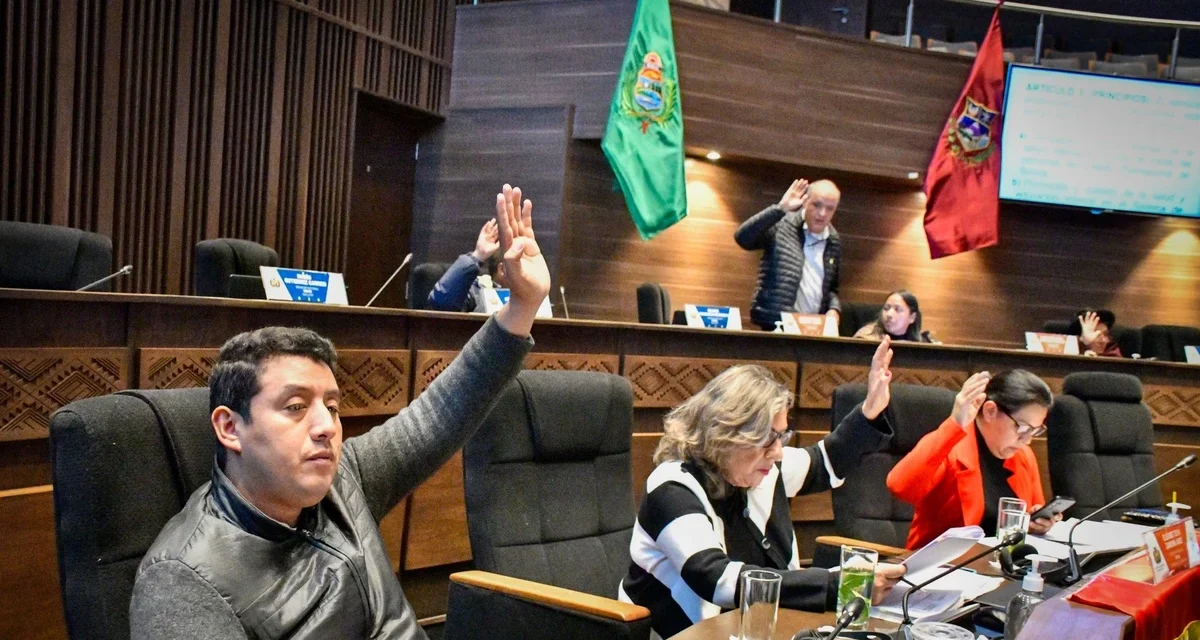 Senado aprueba proyecto de ley propuesto por cívicos, que autoriza compra directa de combustible