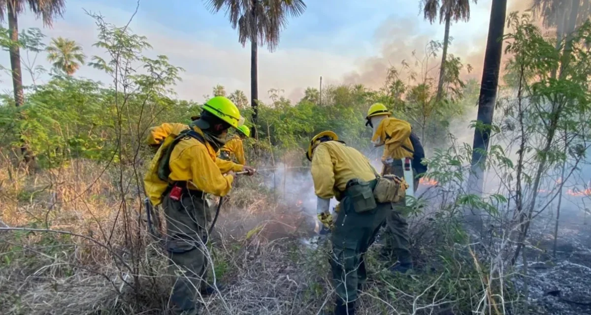 Incendio en frontera entre Paraguay y Bolivia arrasa con 16.000 hectáreas de vegetación