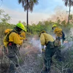 Incendio en frontera entre Paraguay y Bolivia arrasa con 16.000 hectáreas de vegetación