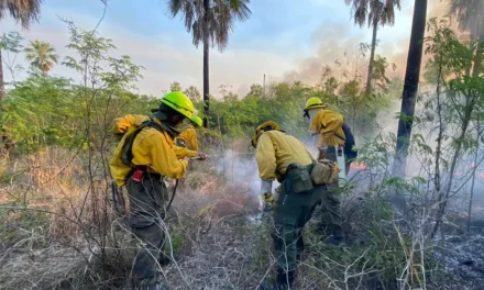 Incendio en frontera entre Paraguay y Bolivia arrasa con 16.000 hectáreas de vegetación