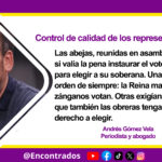 Control de calidad de los representantes