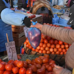 Productores advierten que falta de combustible y dólares puede generar un déficit de alimentos