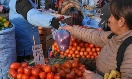 Productores advierten que falta de combustible y dólares puede generar un déficit de alimentos