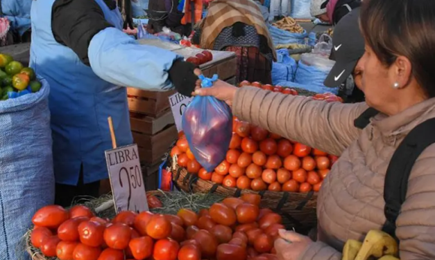 Productores advierten que falta de combustible y dólares puede generar un déficit de alimentos