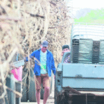 Cañeros y surtidores en emergencia por escasez de diésel en Santa Cruz