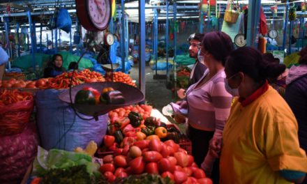 El tomate se dispara: la cuartilla llega a Bs 25 y su precio duplicó su precio en un mes