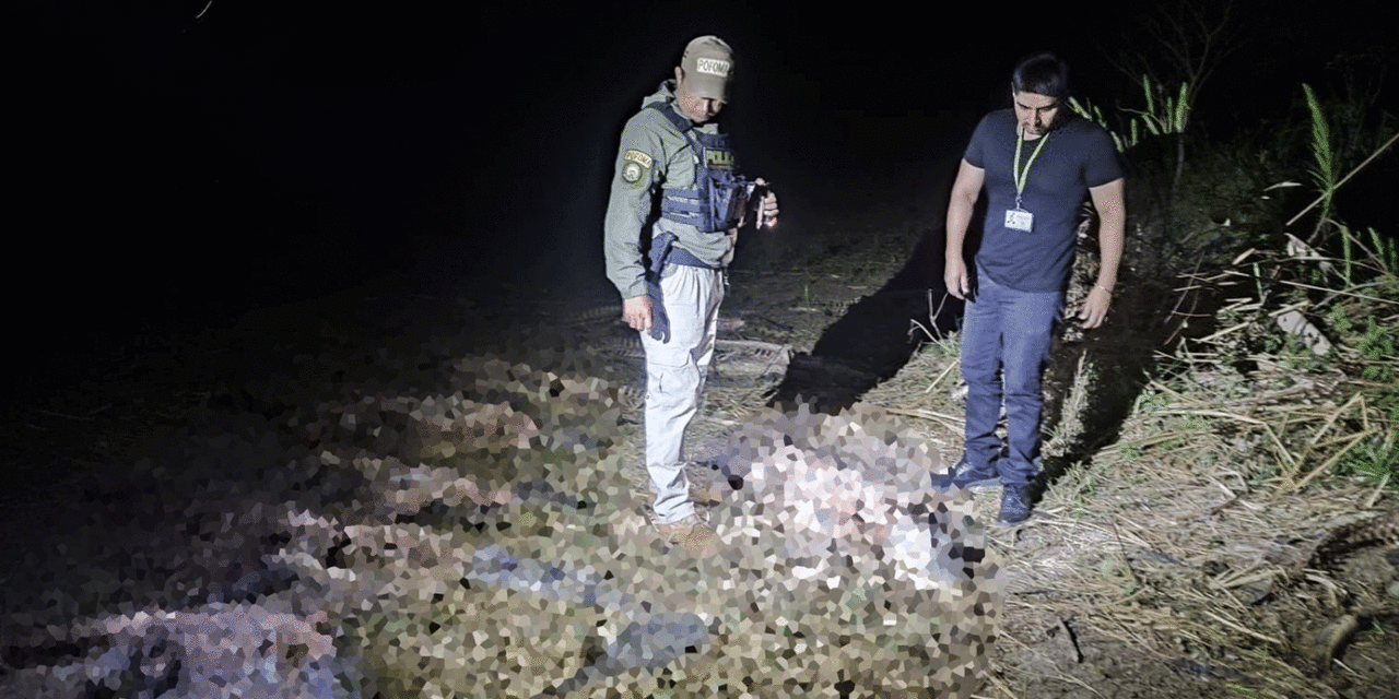 Abren investigación por biocidio tras la denuncia de al menos 40 lagartos muertos en el Beni