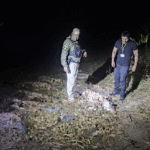 Abren investigación por biocidio tras la denuncia de al menos 40 lagartos muertos en el Beni