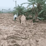 Cuatro municipios de Cochabamba sufren graves inundaciones por lluvias; Puerto Villarroel alista declaratoria de desastre