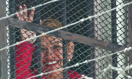 Luego de 1.710 días de cárcel, el TSJ absuelve a Áñez y define que no hubo ‘golpe’ de Estado