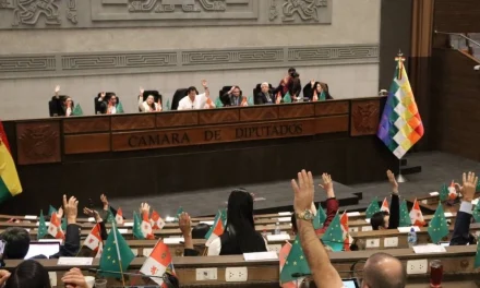 TSE prevé 500 tipos de papeletas paras las subnacionales de marzo de 2026