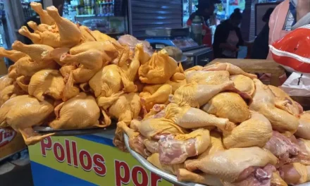 Precio del pollo vuelve a subir y presiona el bolsillo; carnes de res y cerdo se mantienen elevadas