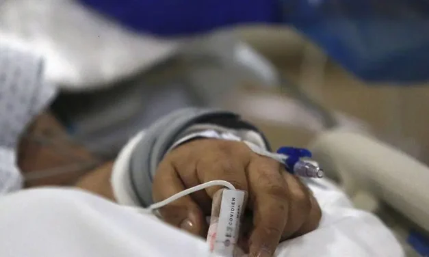 Rabia humana: Interna de medicina fue mordida por un cachorro que adoptó y que murió 10 días después