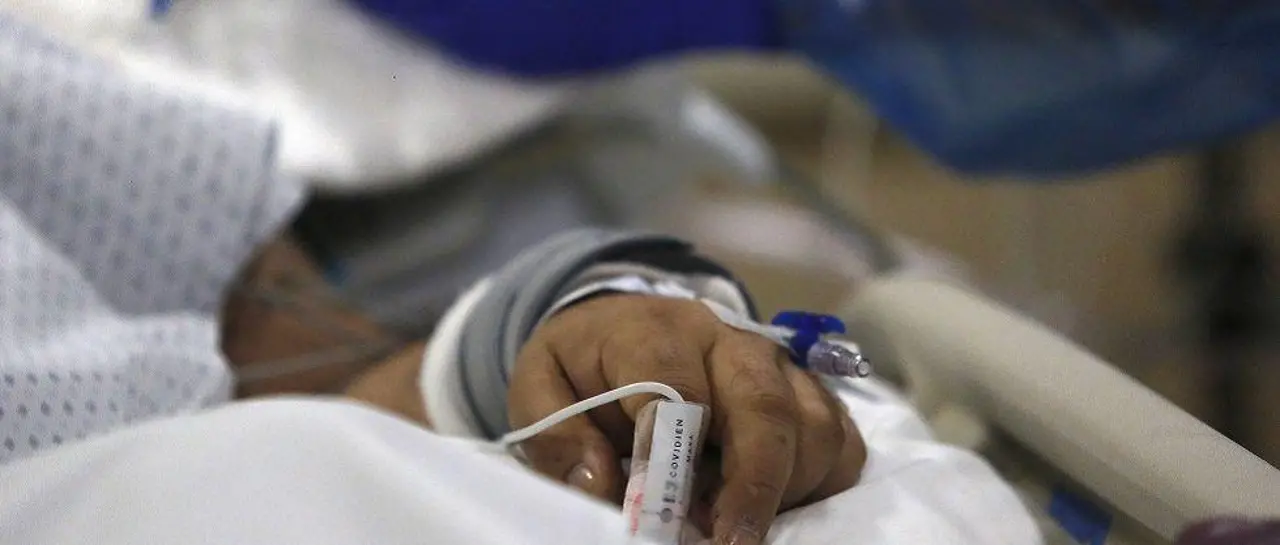 Rabia humana: Interna de medicina fue mordida por un cachorro que adoptó y que murió 10 días después