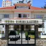 TSE detecta muertos y otras irregularidades en listas de militantes de Libre