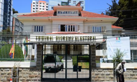 TSE detecta muertos y otras irregularidades en listas de militantes de Libre