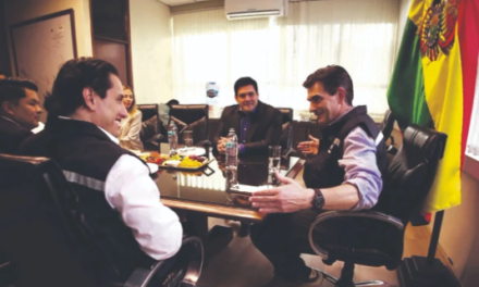 Gobierno propone que ENDE se abra a las inversiones extranjeras