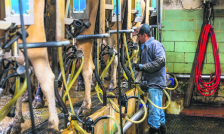 Productores acusan al Fondo Proleche de frenar el crecimiento del sector