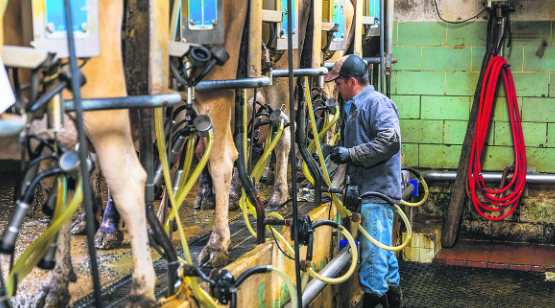 Productores acusan al Fondo Proleche de frenar el crecimiento del sector