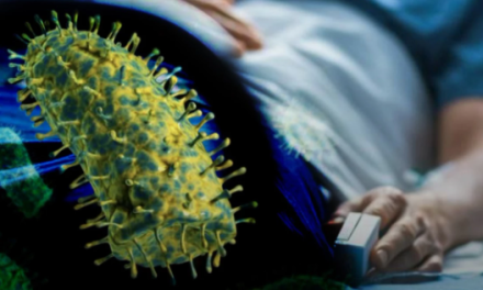 Reportan caso sospechoso de rabia humana en Santa Cruz