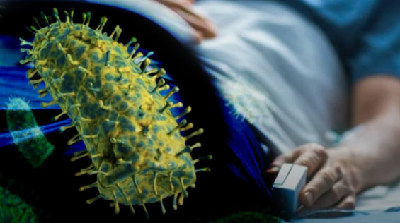 Reportan caso sospechoso de rabia humana en Santa Cruz