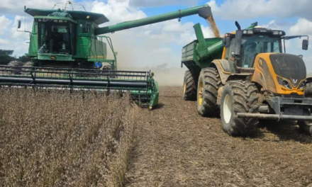 Anapo pide al Gobierno una reunión urgente para coordinar la entrega de diésel a productores