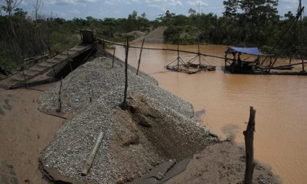 El mercurio amenaza la salud de comunidades y ecosistemas en seis países