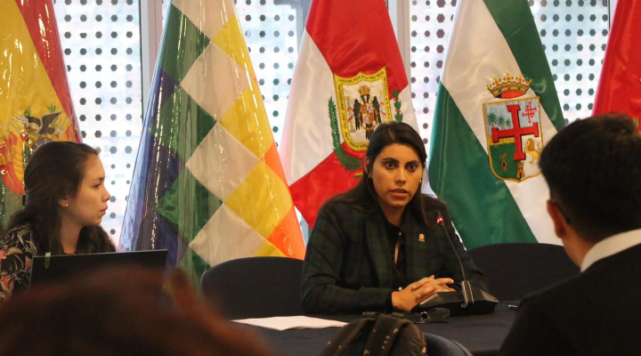 Aumentan denuncias tras intervención al INRA, resalta Barrientos