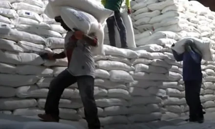 “Todo lo que es subvención en Bolivia es corrupción”, dice Paz y ratifica fin de la harina subvencionada