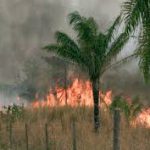 Lara anuncia la abrogación de las leyes incendiarias