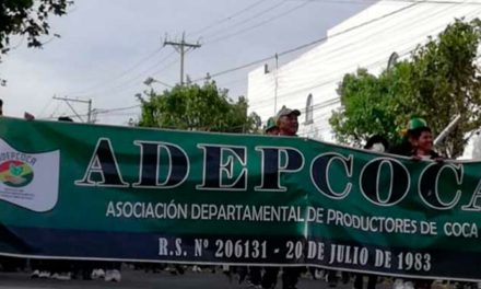Exdirigente reclama que se decidió sobre la DEA sin socializar riesgos ni antecedentes con los Yungas