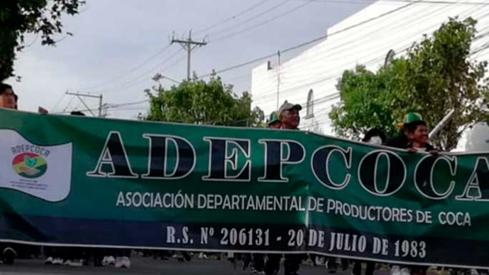 Exdirigente reclama que se decidió sobre la DEA sin socializar riesgos ni antecedentes con los Yungas