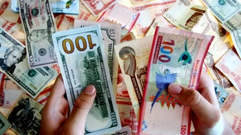 ¿A cuánto se cotiza el dólar paralelo este domingo 7 de diciembre en Bolivia?