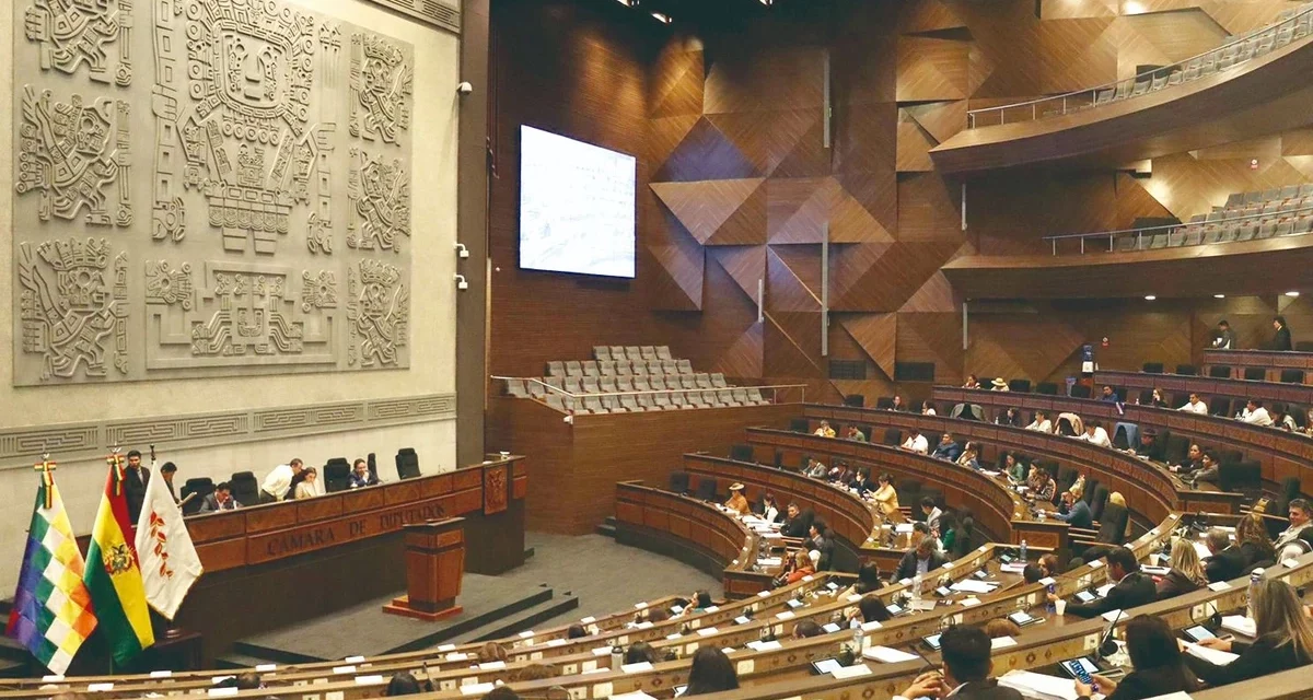 Diputados aprueban el crédito de JICA por $us 95,9 millones en una tensa sesión