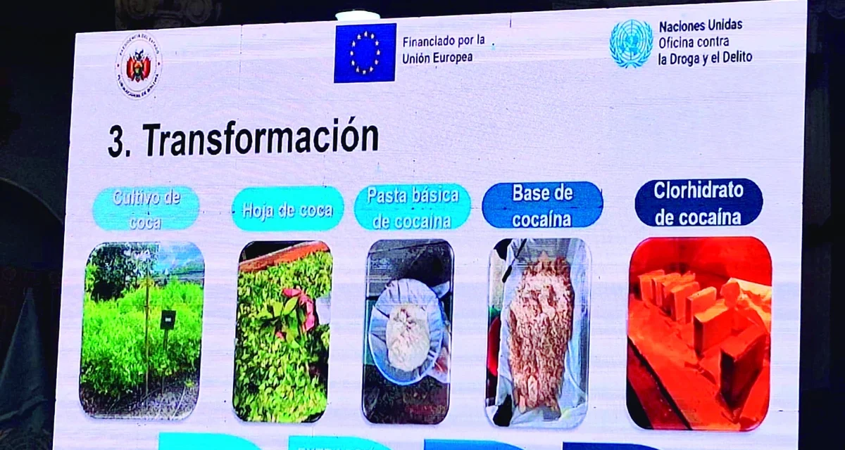 El Gobierno prepara cambios a la Ley General de la Coca por el cultivo ilegal en el Chapare