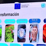 El Gobierno prepara cambios a la Ley General de la Coca por el cultivo ilegal en el Chapare
