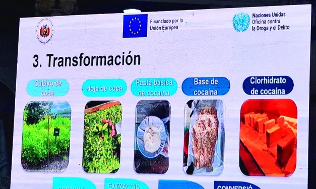 El Gobierno prepara cambios a la Ley General de la Coca por el cultivo ilegal en el Chapare