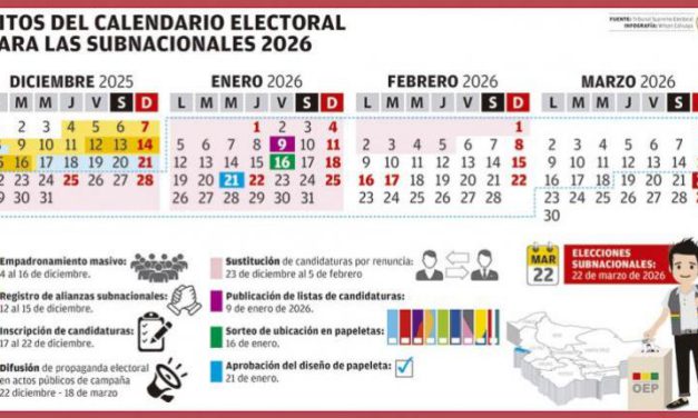 Hay 212 fuerzas políticas habilitadas para las elecciones subnacionales