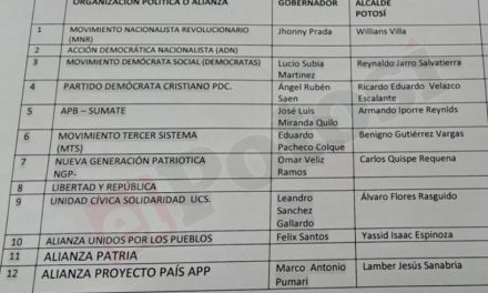 Por lo menos una docena de organizaciones se presentaron en Potosí para las subnacionales